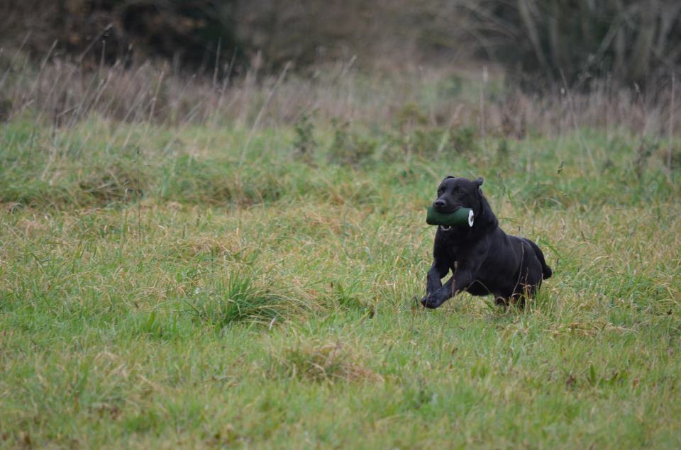 486977 542040292492688 1074449878 n