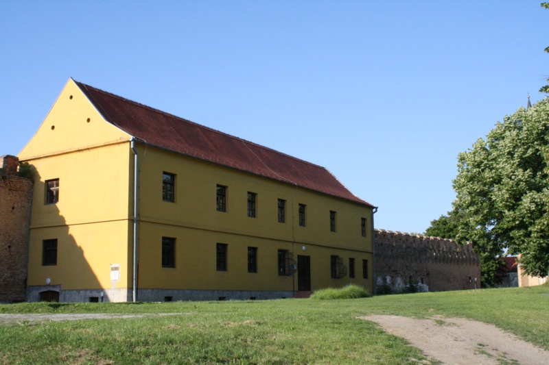 31