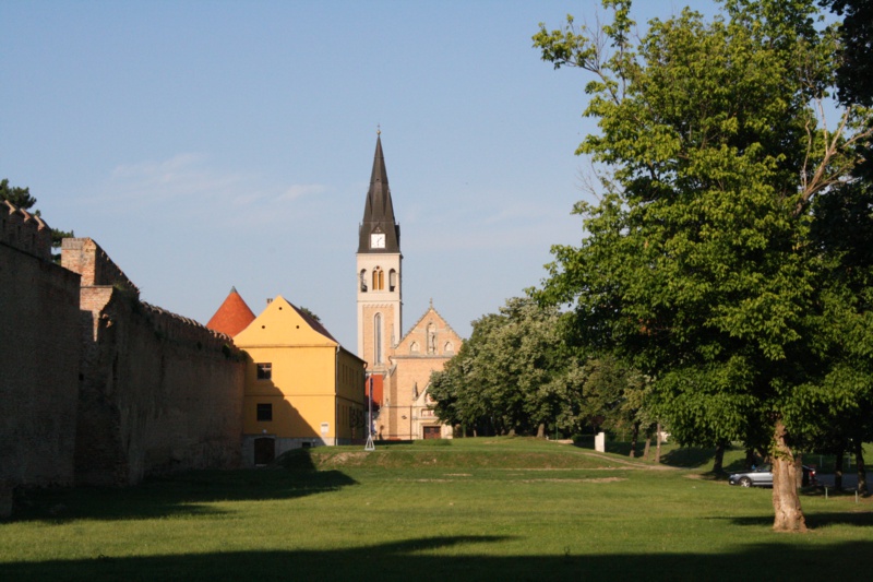 36