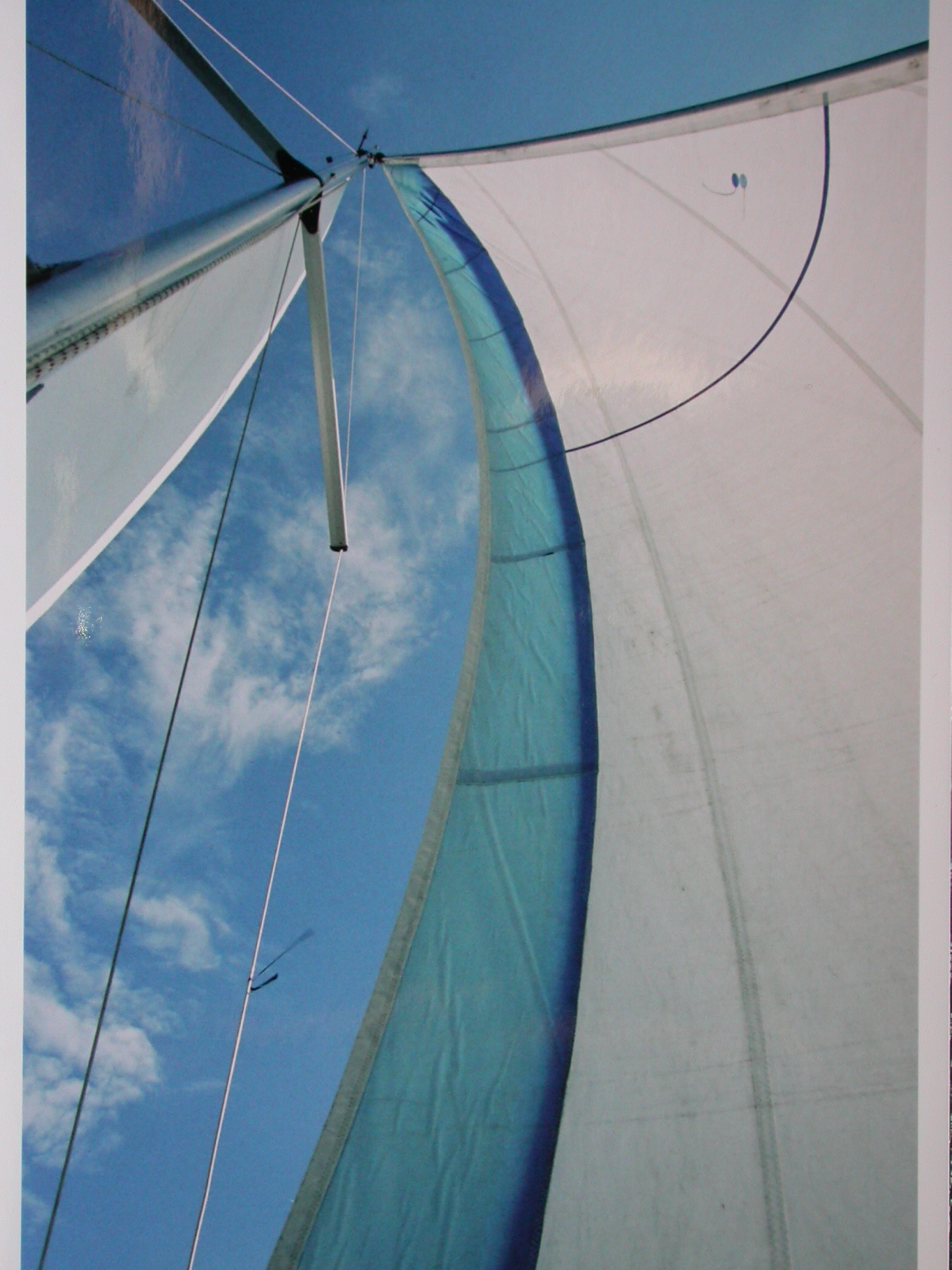 Photo Protégée
Auteur Anne Choquet