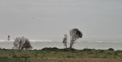 Ile oleron 086