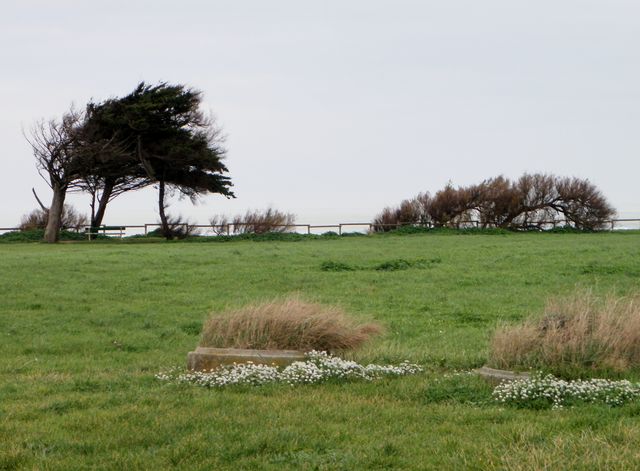 Ile oleron 090