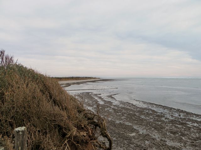 Ile oleron 113