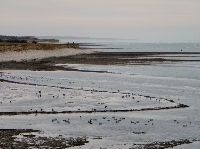 Ile oleron 114