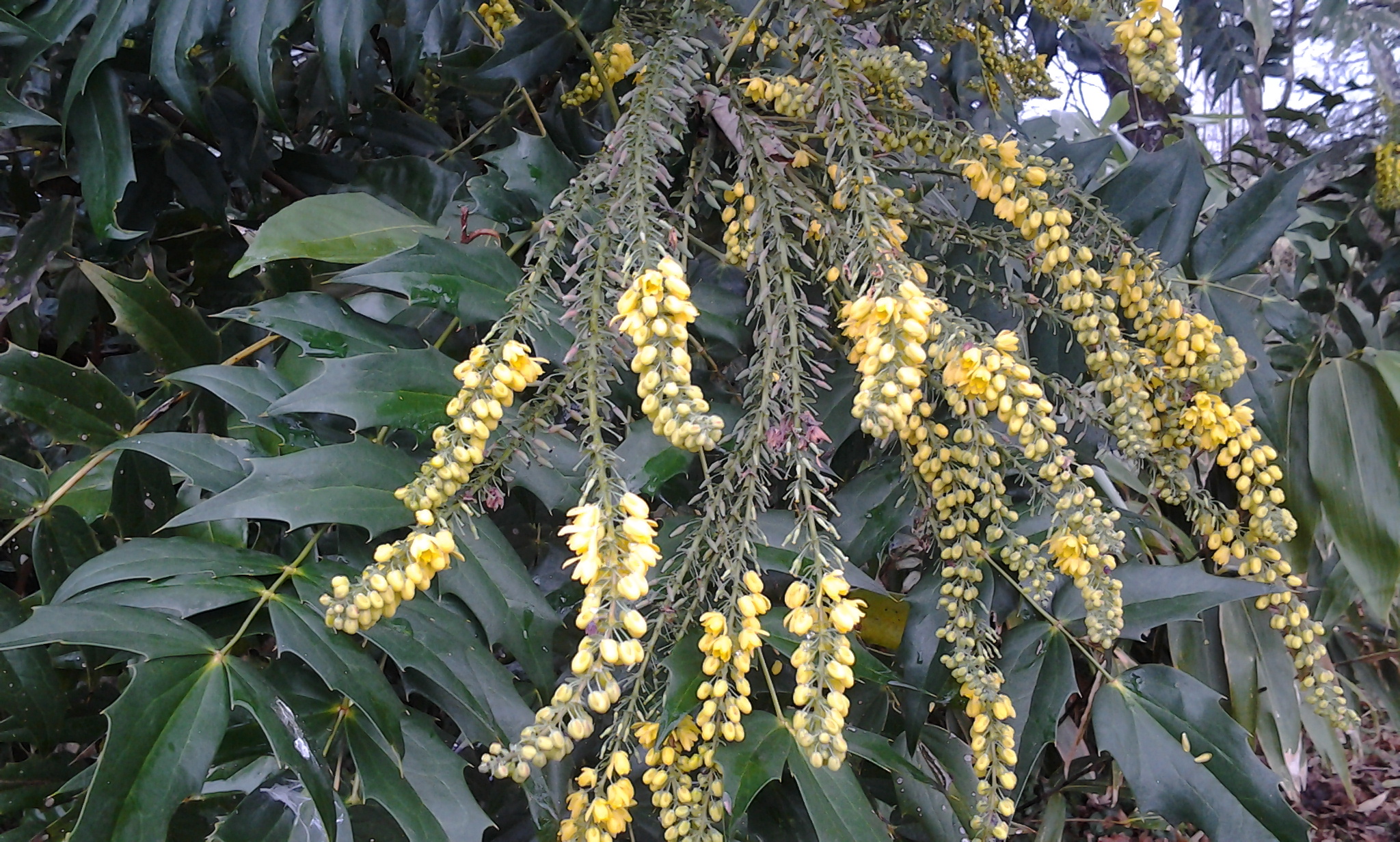 2012 12 28 11 24 08