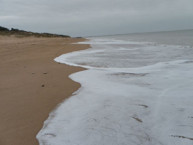 Ile oleron 047