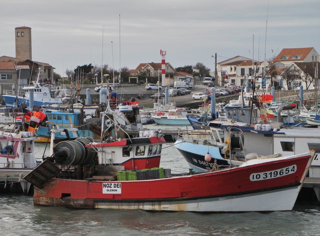 Ile oleron 083