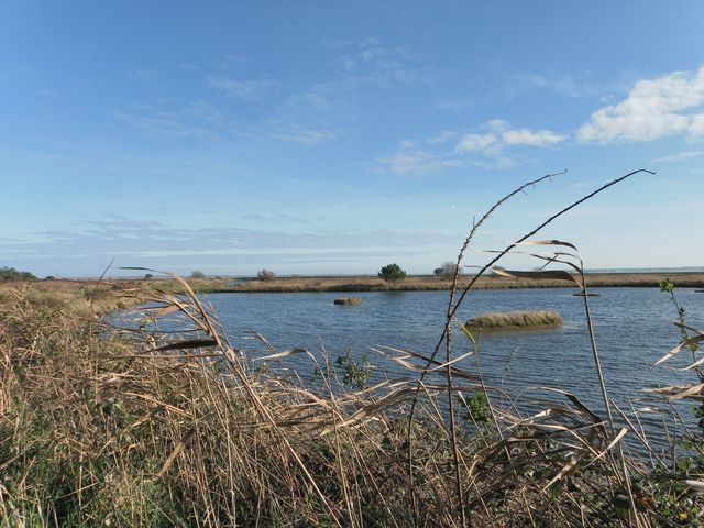 Ile oleron 091