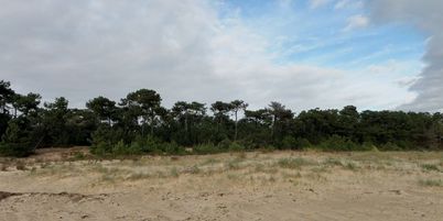 Ile oleron 098