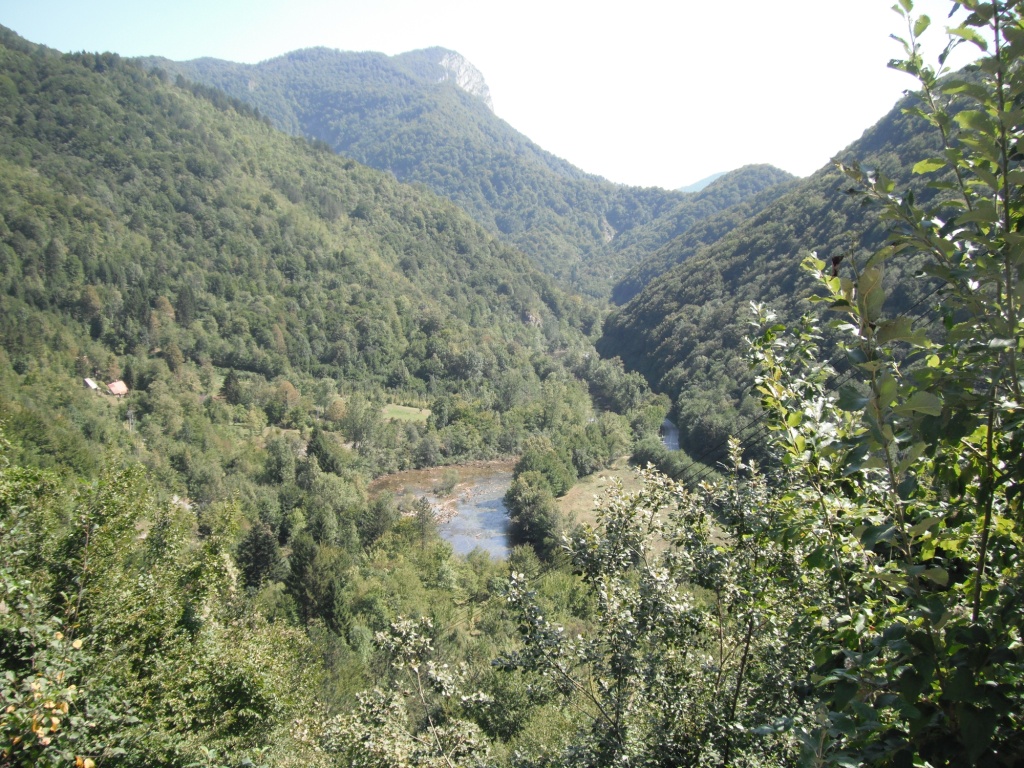 Dscf9738
