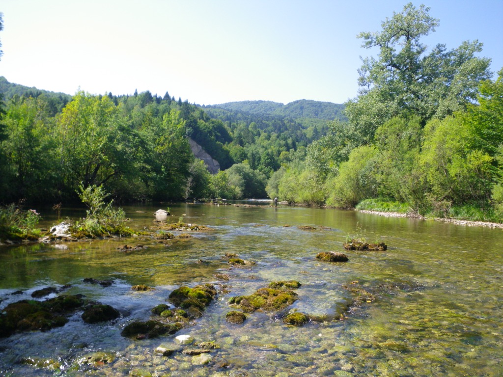 Imgp0077