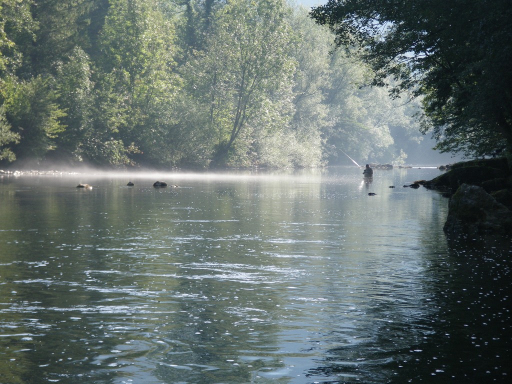 Imgp0074