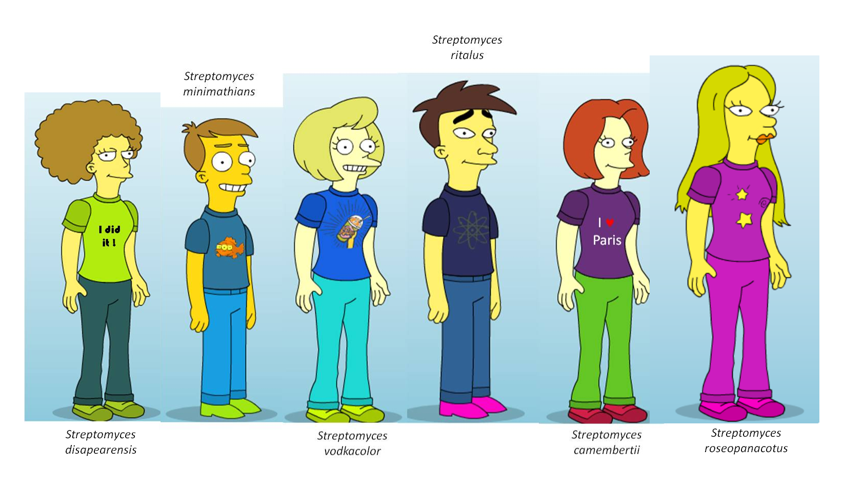 Strepto simpson group