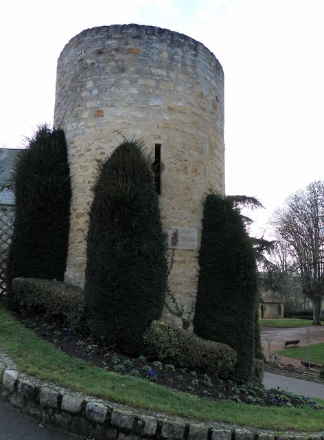Thouars5