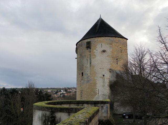 Thouars15