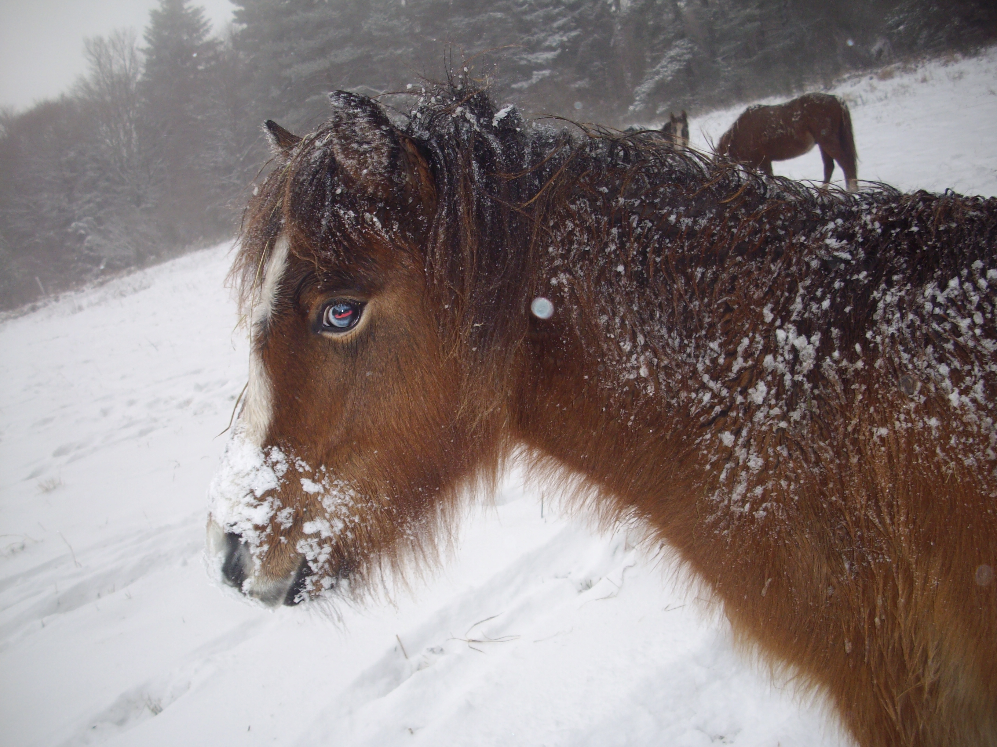 L'hiver est là!