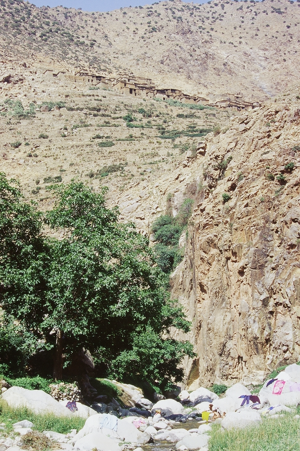 Img008