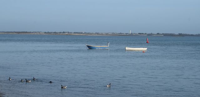 Ile de re 9 