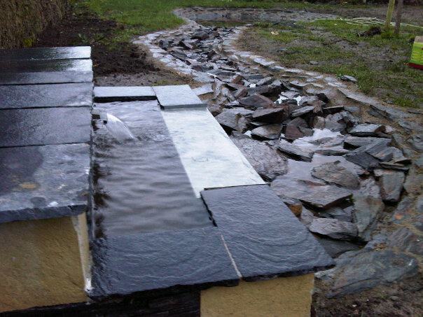 542381 10200459029582081 123745757 n