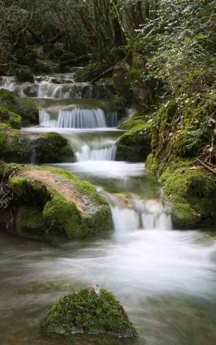 Cascades de Roquefort
