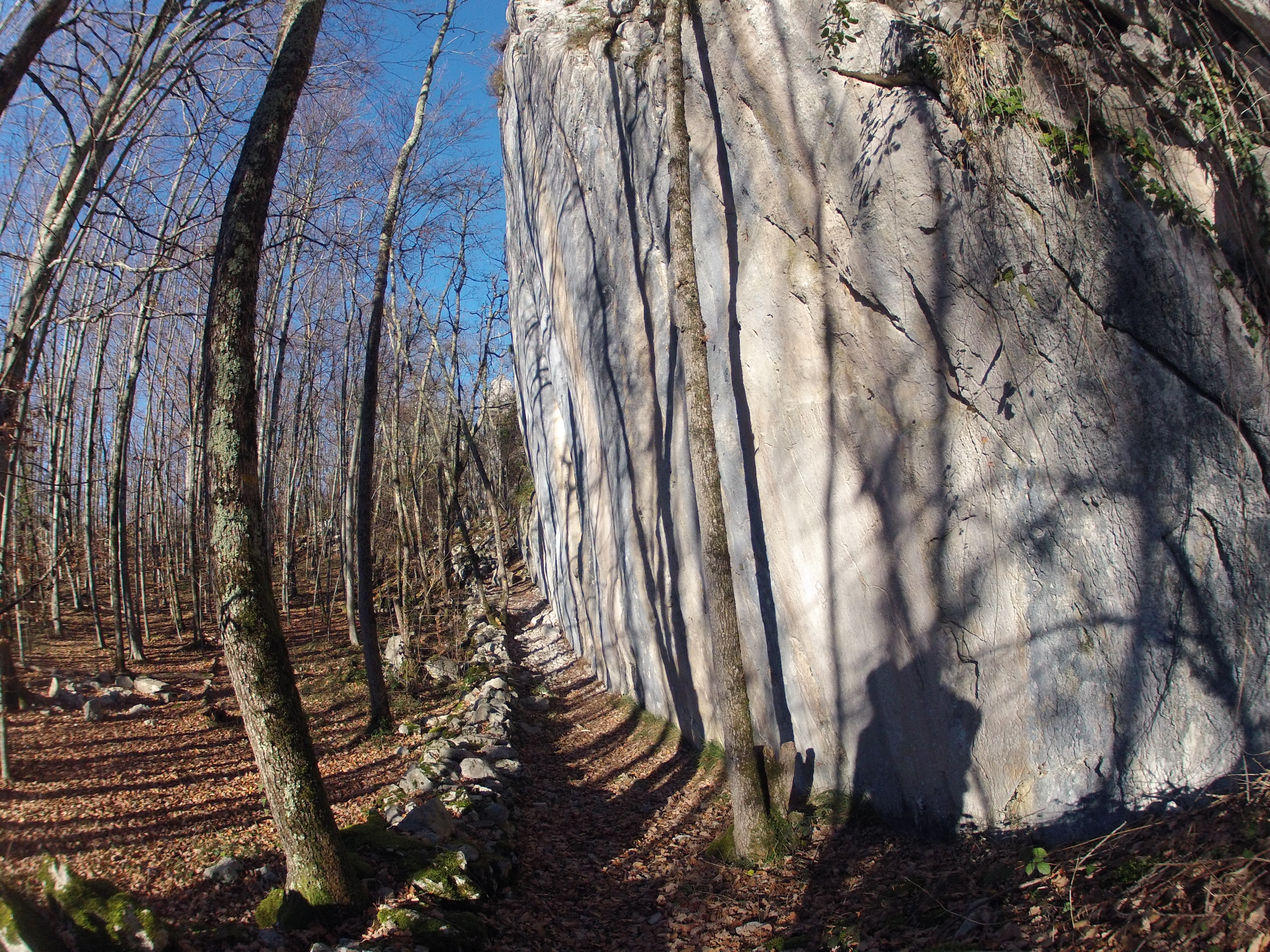 Sentier longeant les parois du Roc des Abeilles