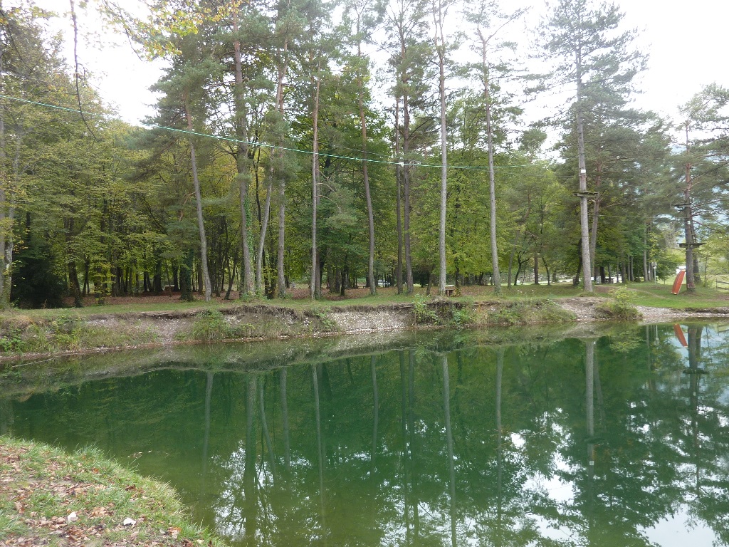 Etang et foret