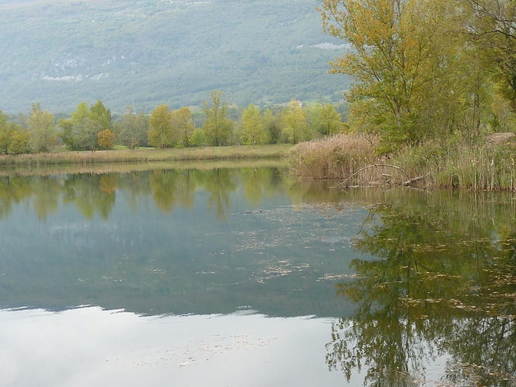 Etang et prairie