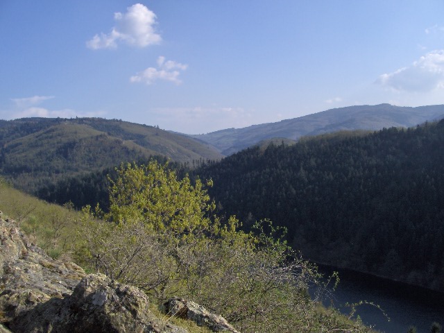 HPIM0595