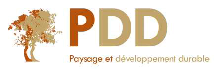 PDD
