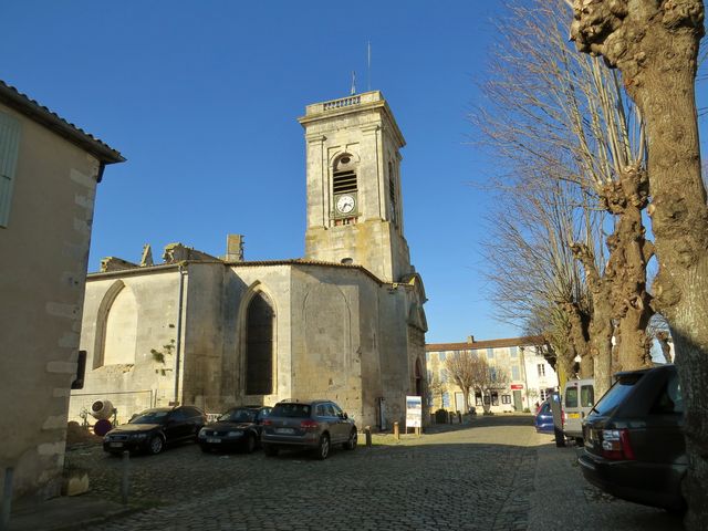 Martindere 12 