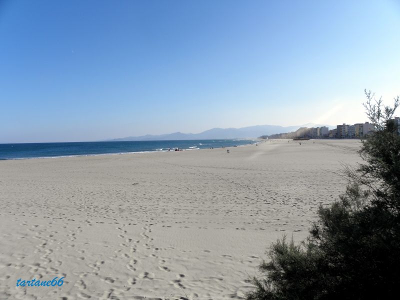 Canet en roussillon 66 la plage 