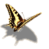 Image gif anime gratuit papillon