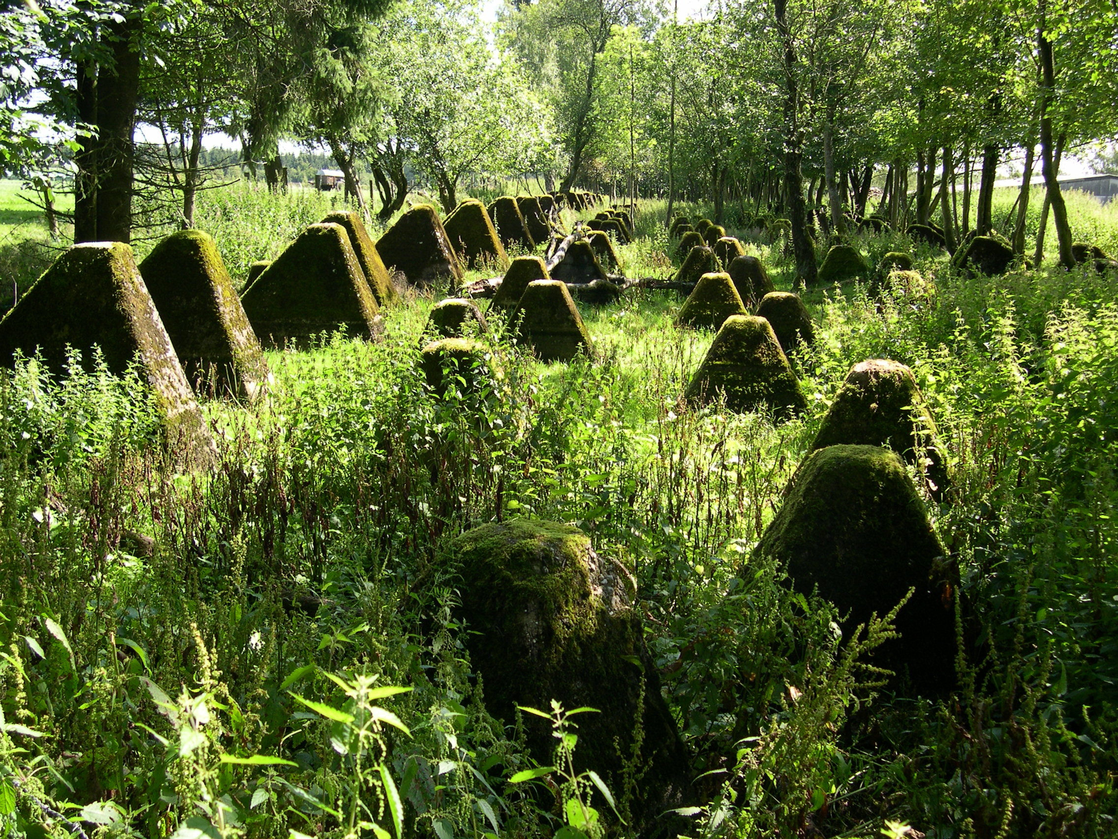 The Siegfried Line