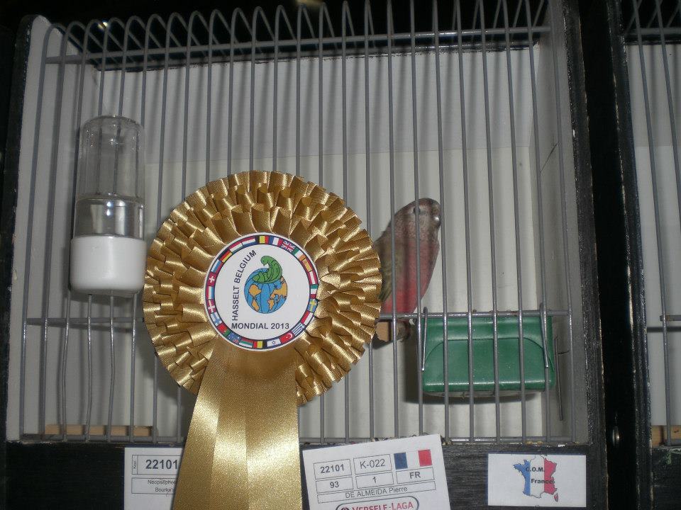Bourke championne