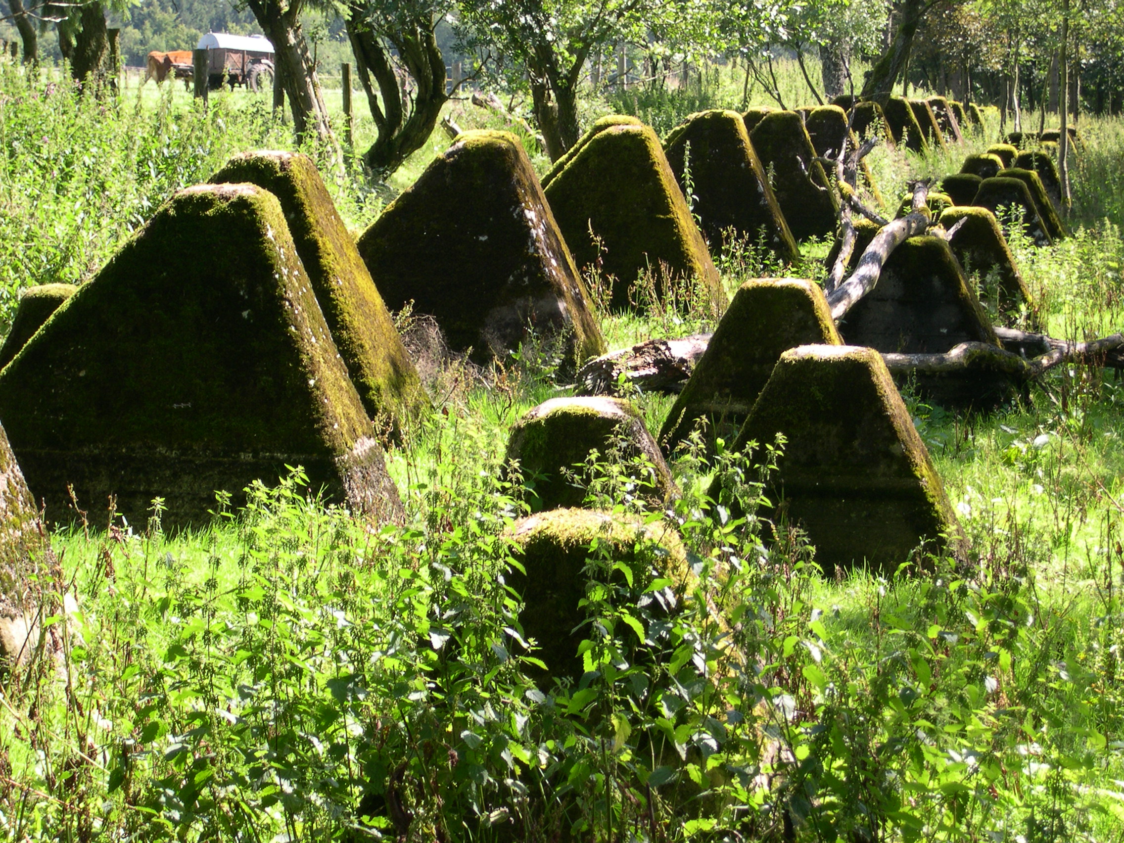 The Siegfried Line 2