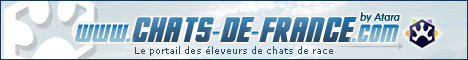 Chats de france bleu 468