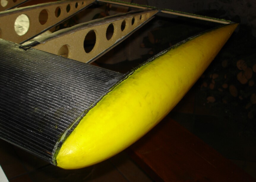 Saumon 10