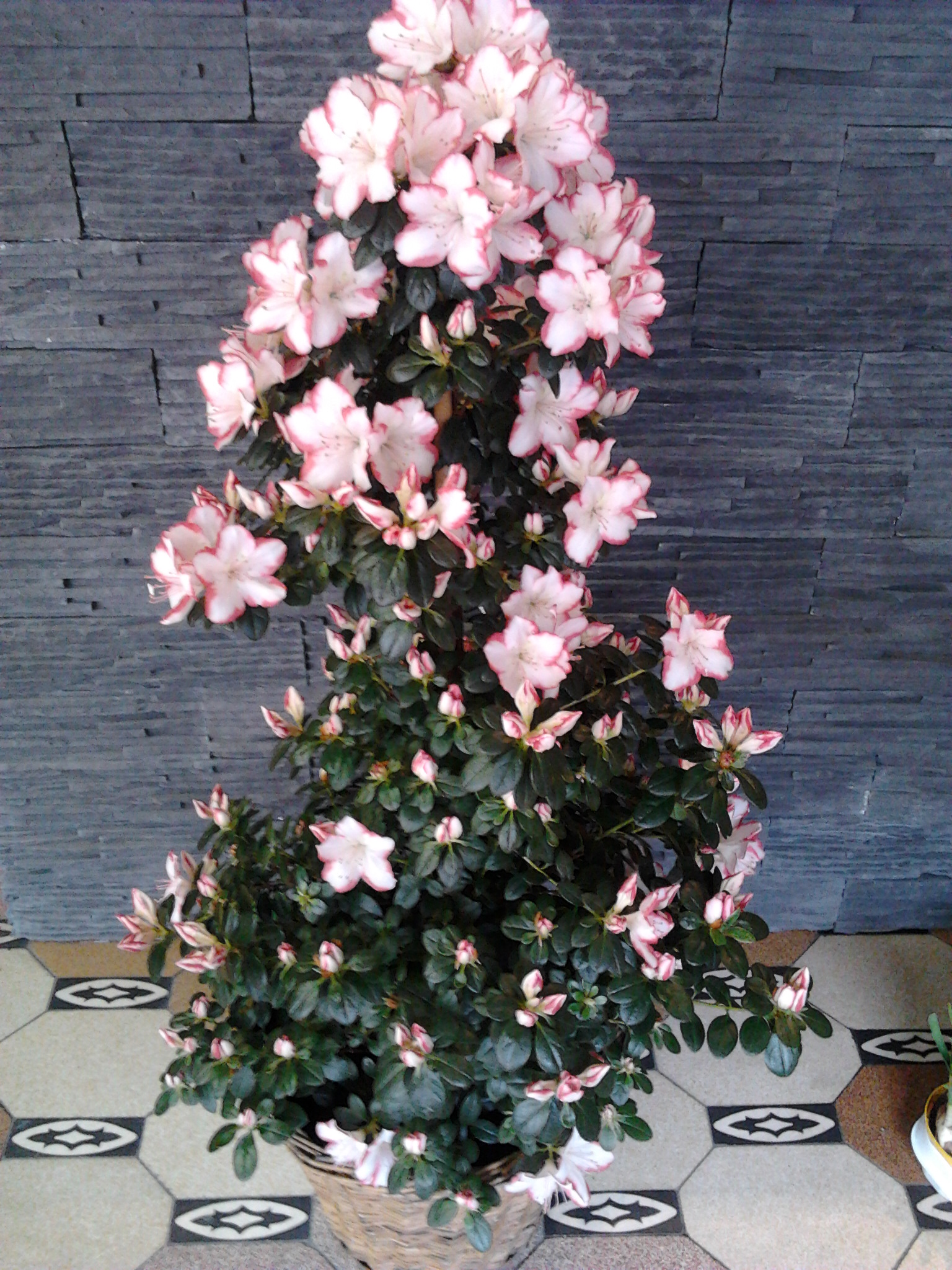 Photo0429