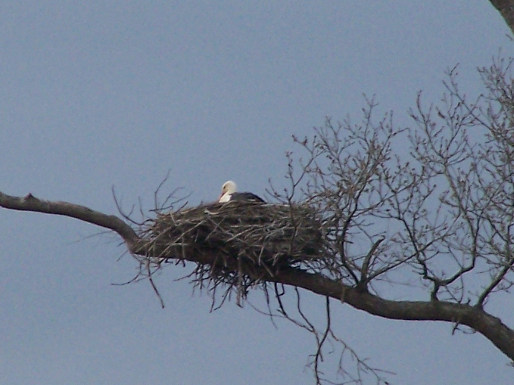 Sejour fevrier mars 2013 matheo emma giorgi 090