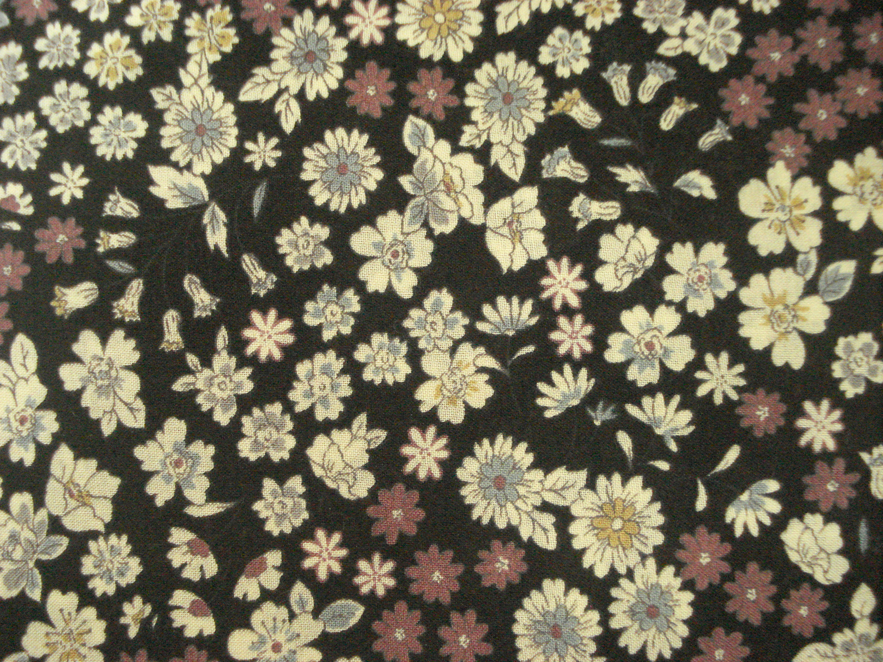 Site printemps 20123 009