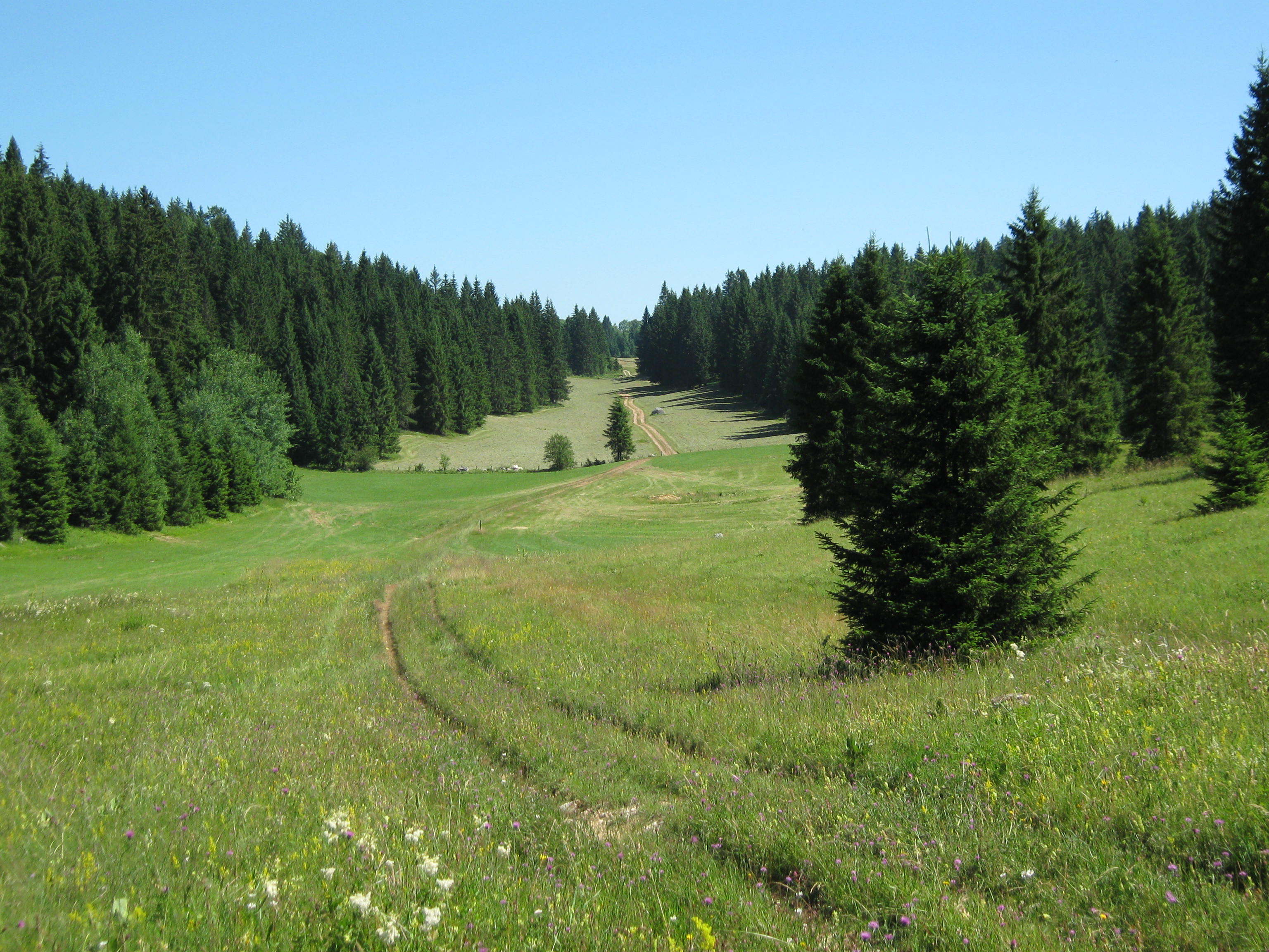 Train vtt adultes 5 