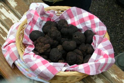 Panier de truffes