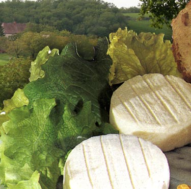 Geitenkaas rocamadour cabecou 16