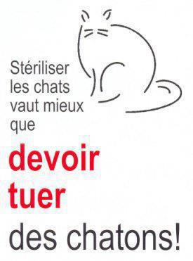 Steriliser les chats