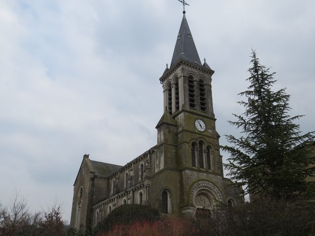 54thorey 2 