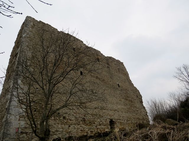 54 vaudemont 9 
