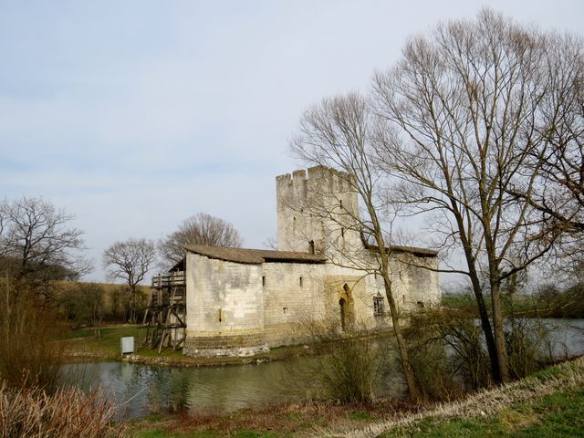 Img 0533