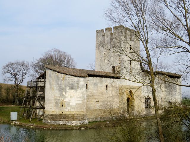 Img 0533b