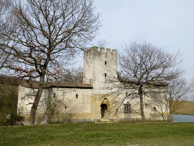 Img 0534