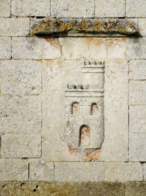 Img 0538